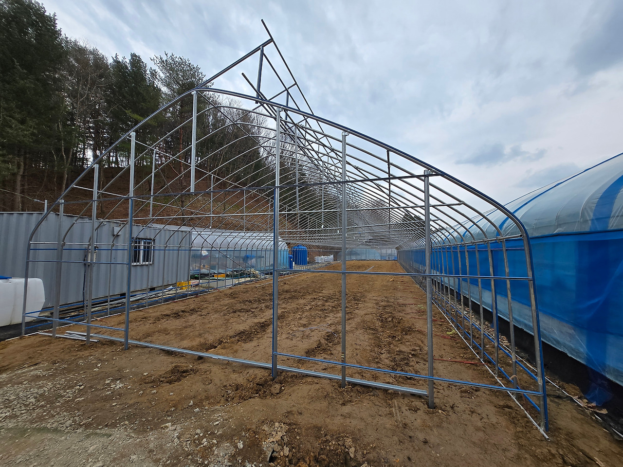 신축하우스의 완성된 뼈대_20250405_103821.jpg