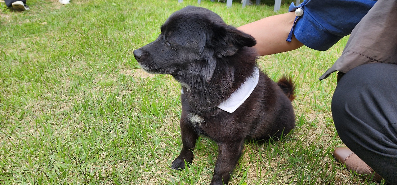 초코 사진_결혼식날_1686405322854_20230621.jpg