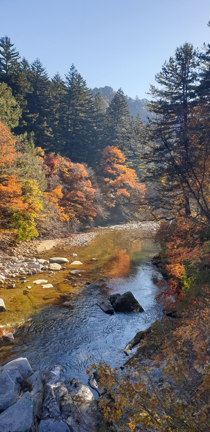 횡성 27주차 목요일_가을 단풍이 찾아온 삽교리_20221020_1666223669786.jpg