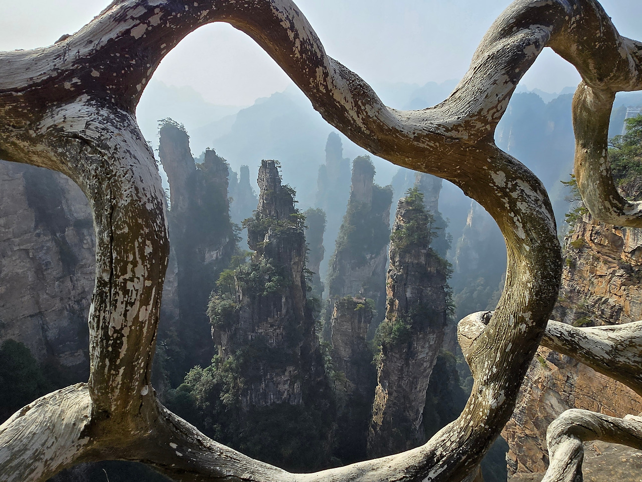 장가계 여행_원가계의 절경 사진_20241105_102106.jpg