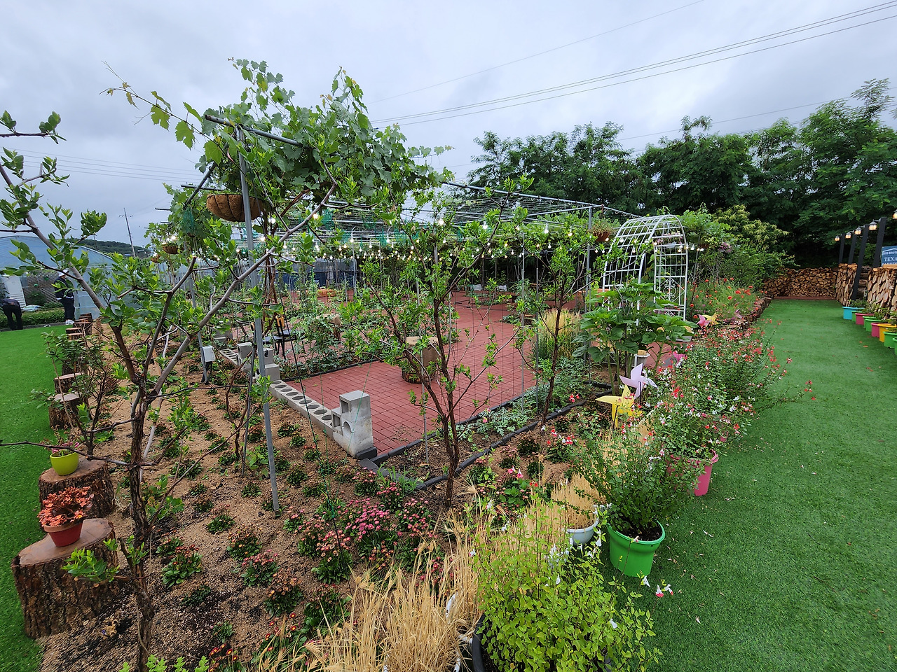 횡성 9주차_수요일_넝쿨링 카페_정원_20220615_114059.jpg