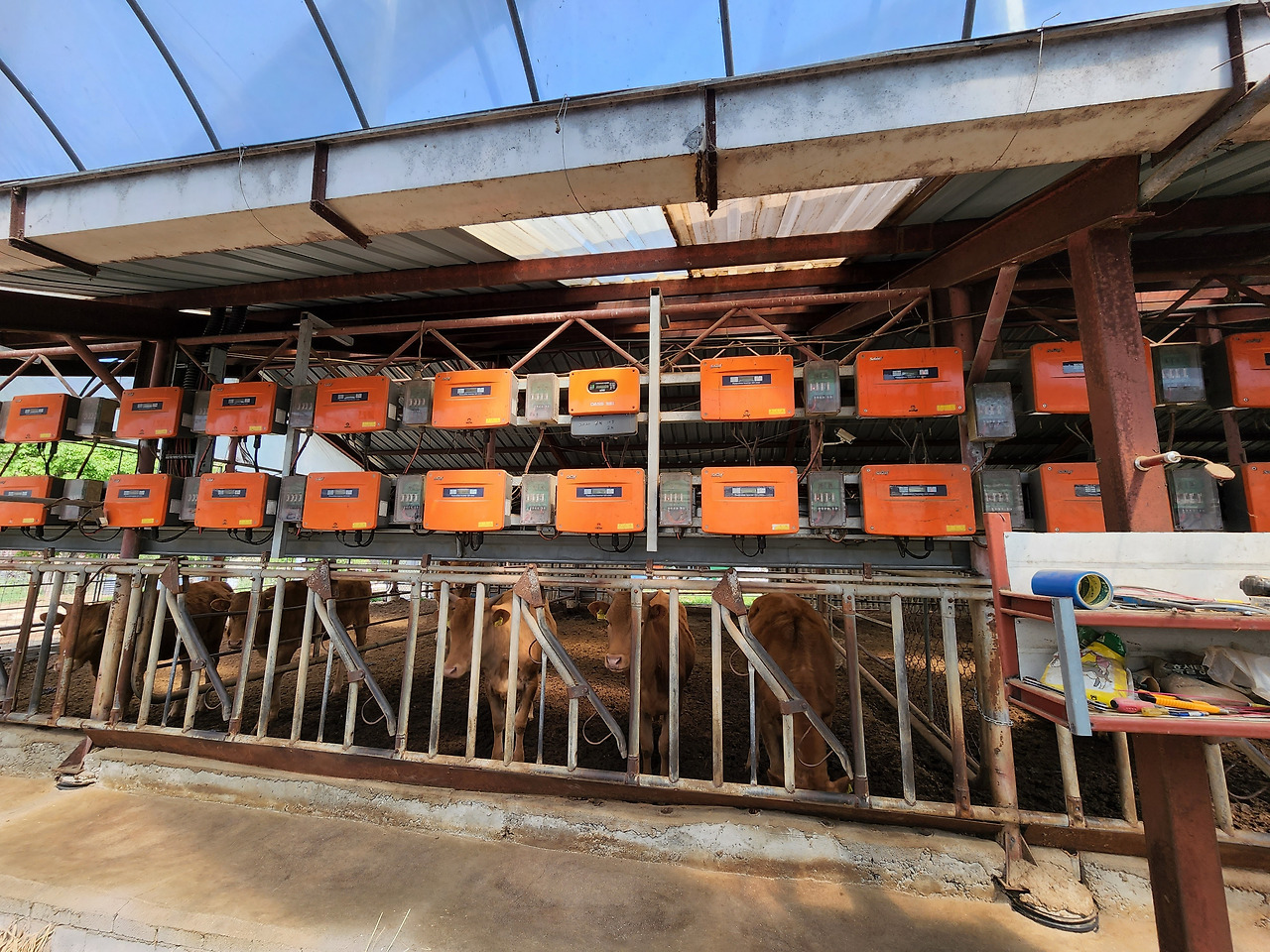 횡성 4주차 목요일_한옥과 한우 태양광 선도농가_태양광 인입 게이지_20220512_101656.jpg