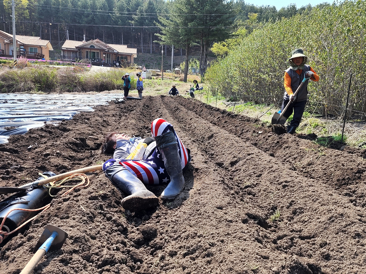 횡성 3주차 화요일_멀칭작업에 지쳐서 드러누운 신반장과 쳐다보는 교장선생님_20220403_20220503_143744.jpg