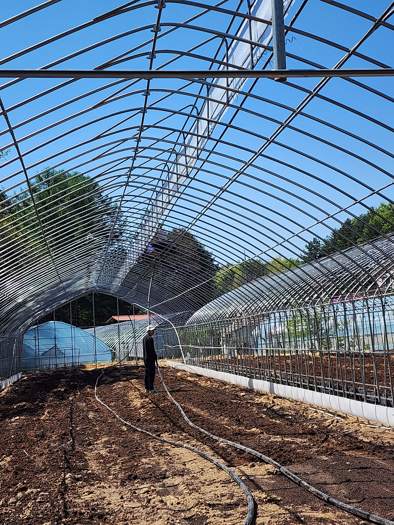 비닐하우스 제작_하우스 뼈대 구축_20240502_102637.jpg