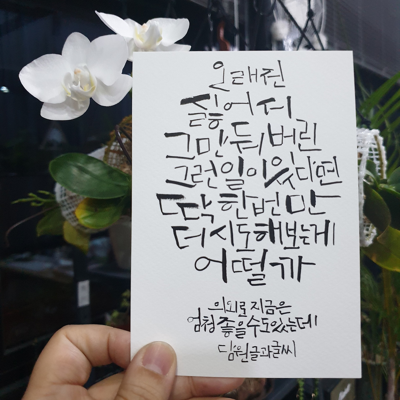 18화 담원의 엽서 Vol.1 postcard078