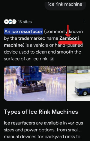 Zamboni_Google.jpg