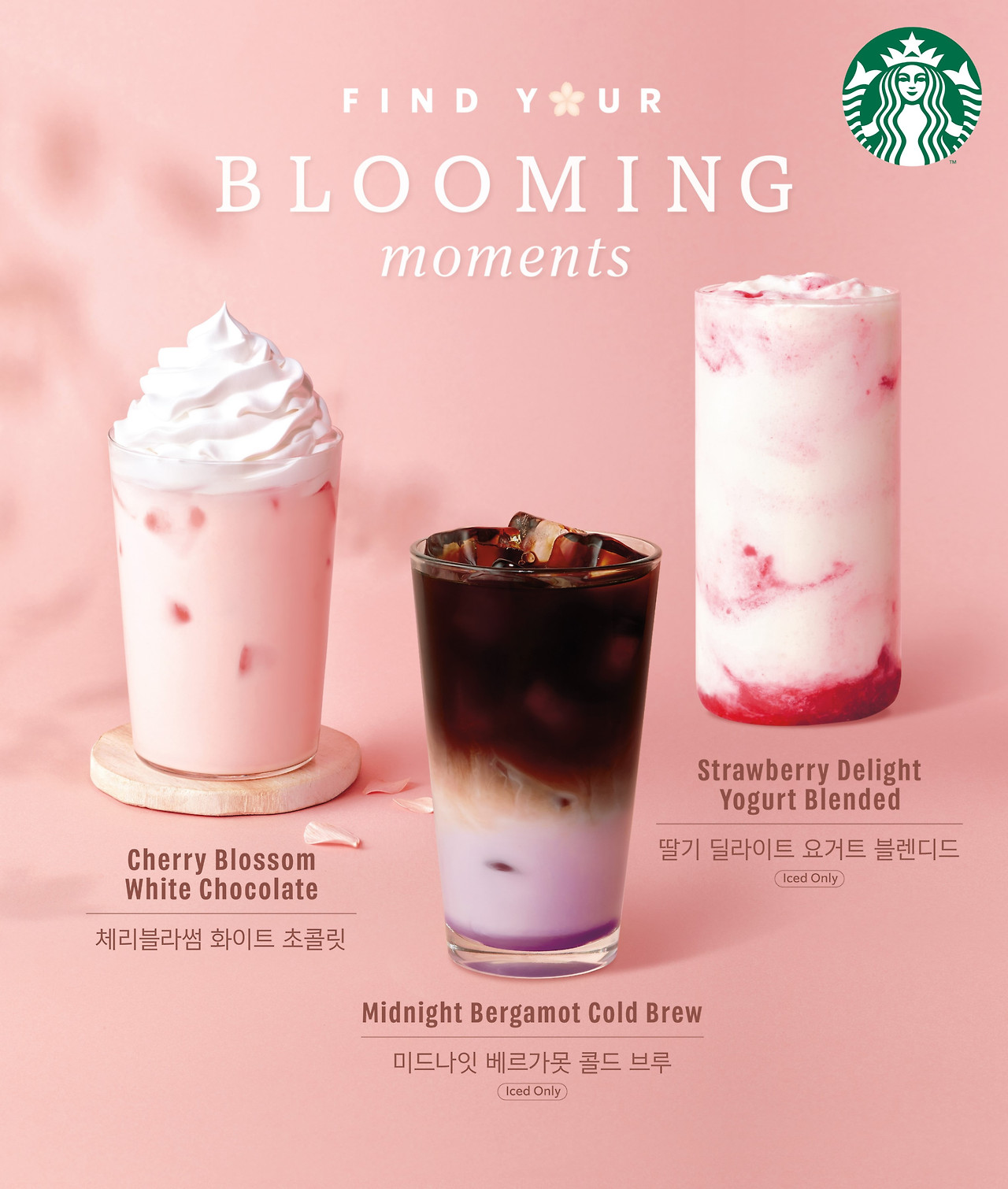 스타벅스 체리블라썸 (1).jpg