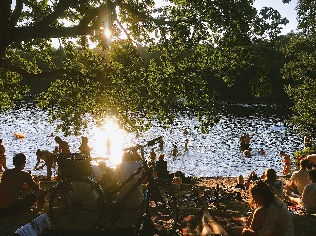 748003481.400294 2.jpg