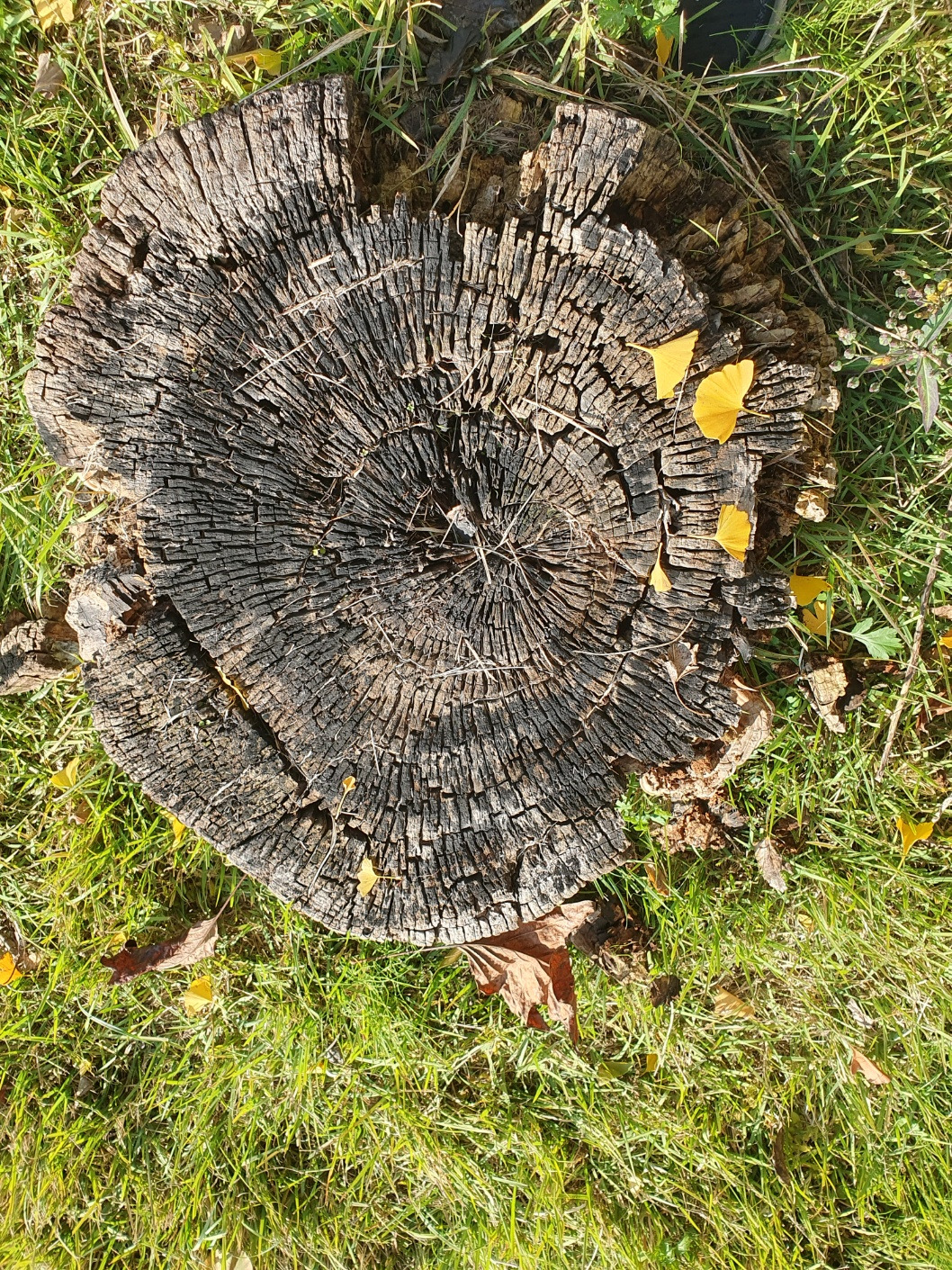 KakaoTalk_20231029_231502300_10 (1).jpg