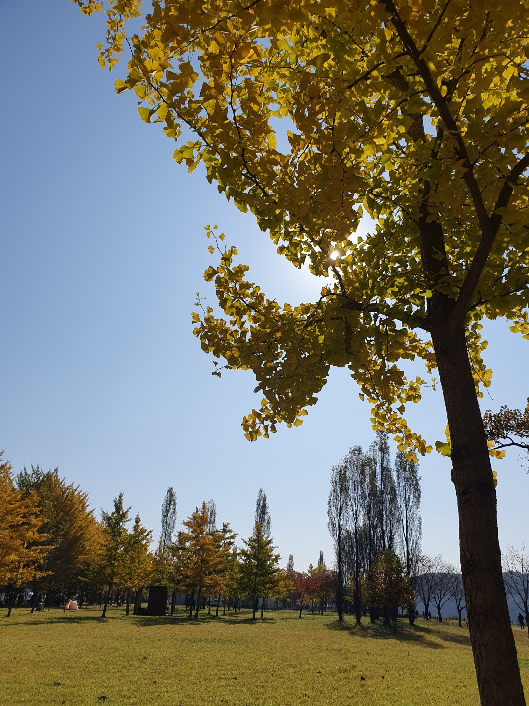 KakaoTalk_20231029_231502300_13 (1).jpg