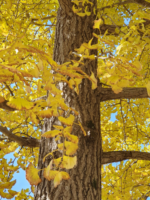 KakaoTalk_20231029_231502300_07 (1).jpg