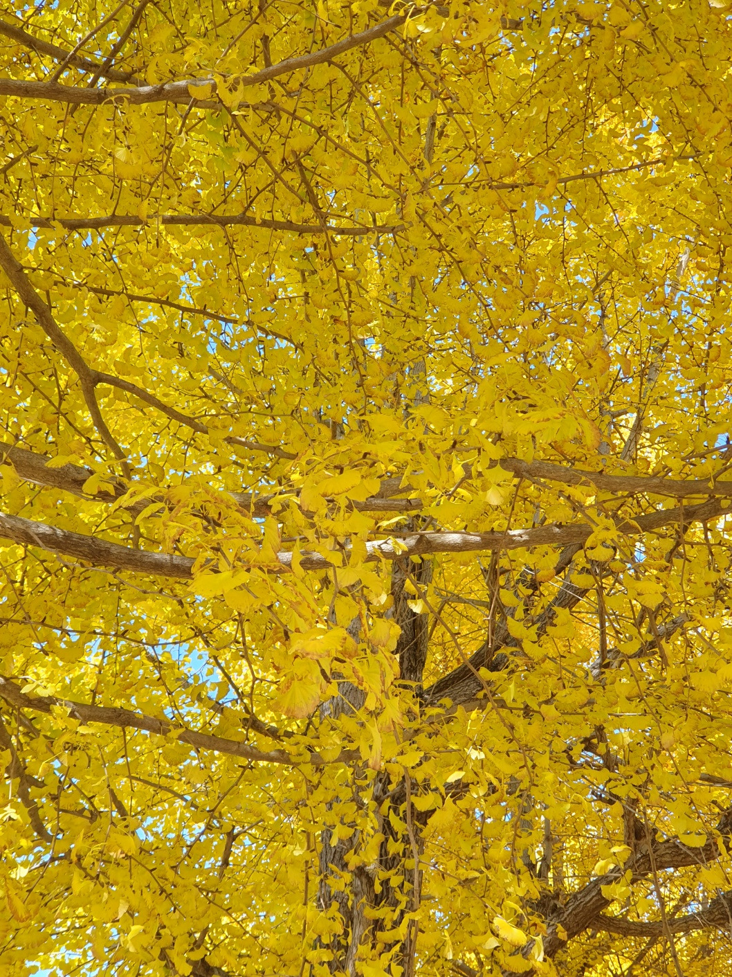 KakaoTalk_20231029_231502300_08 (1).jpg