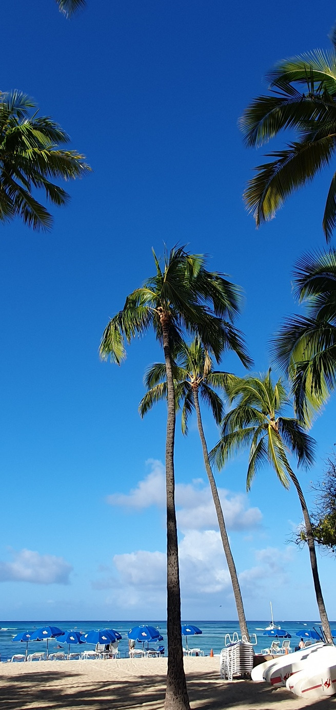 KakaoTalk_20240412_174030038 (1).jpg