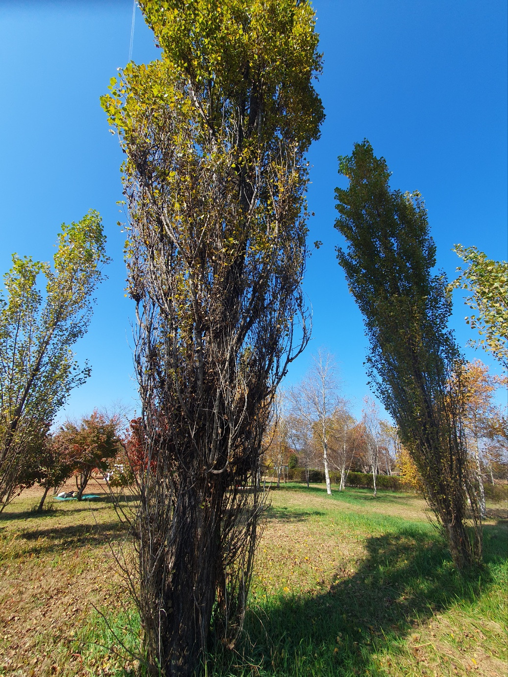 KakaoTalk_20231029_231502300_20 (1).jpg