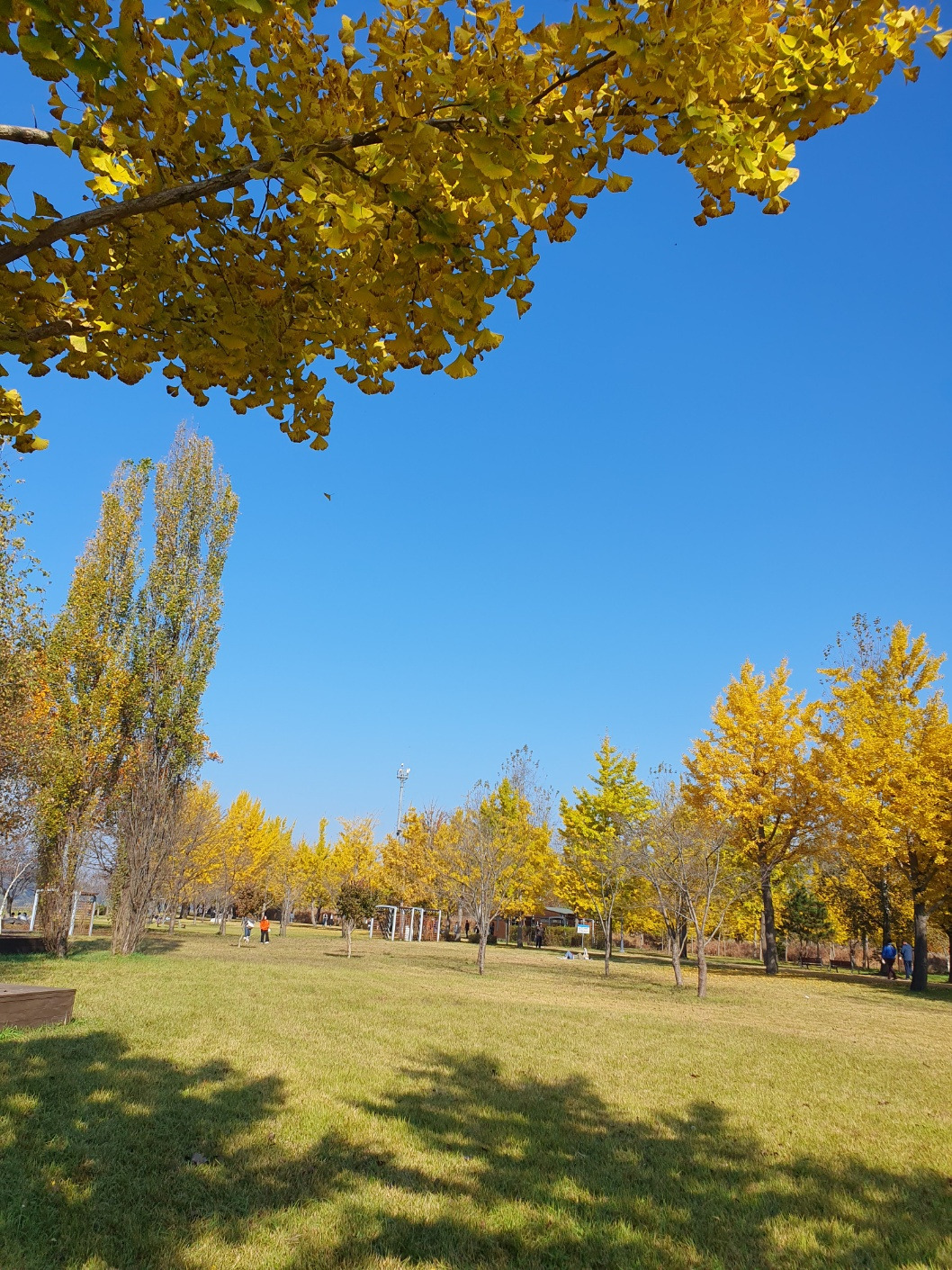 KakaoTalk_20231029_231502300_11 (3).jpg