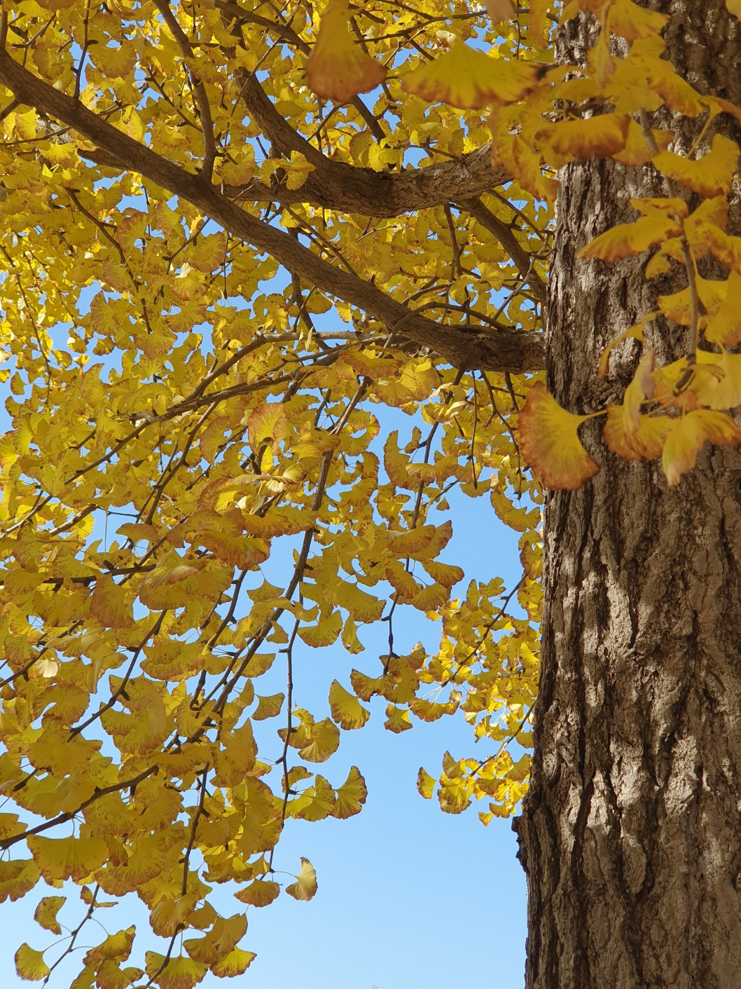 KakaoTalk_20231029_231502300_09 (3).jpg