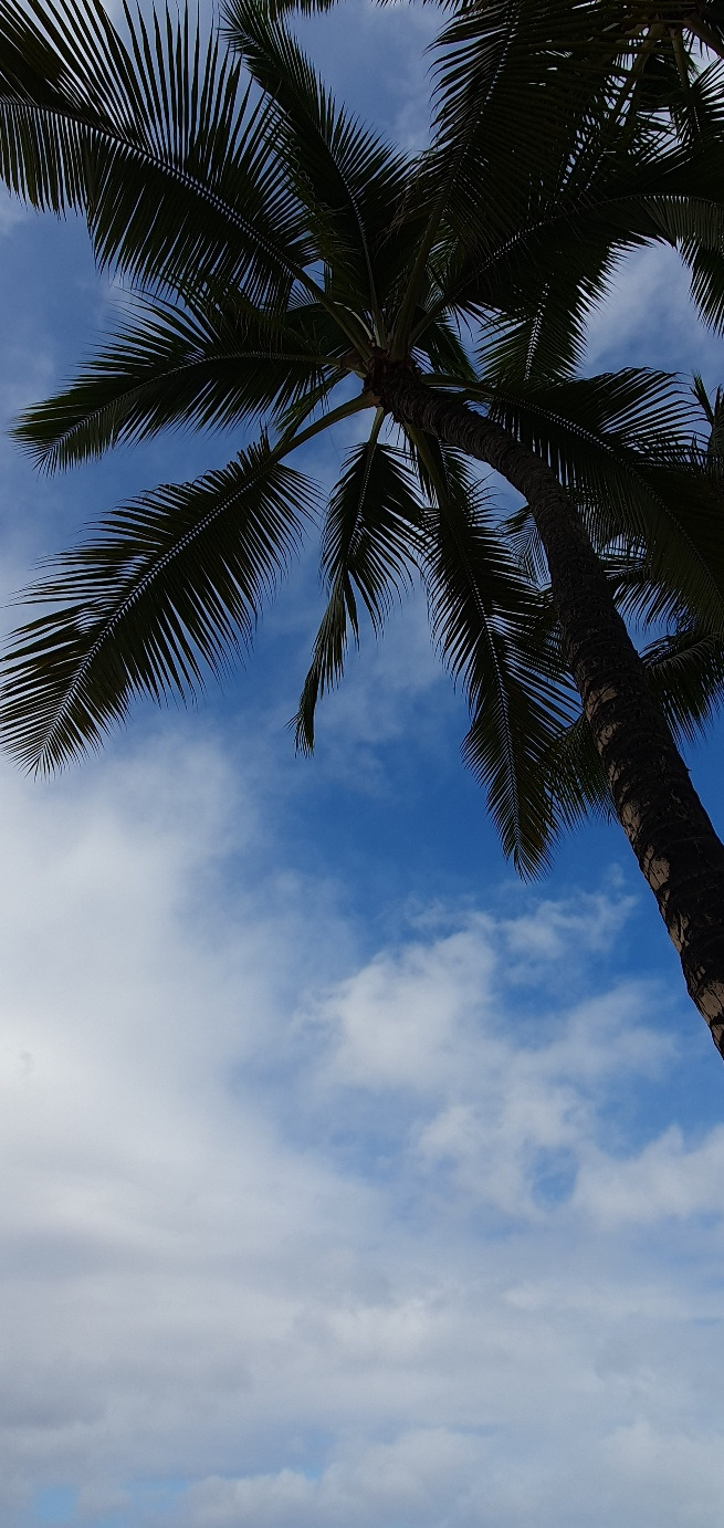 KakaoTalk_20240412_174030038_04 (1).jpg