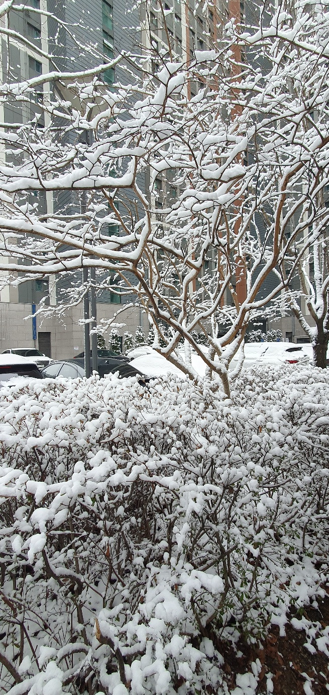 KakaoTalk_20240222_131633624 (1).jpg