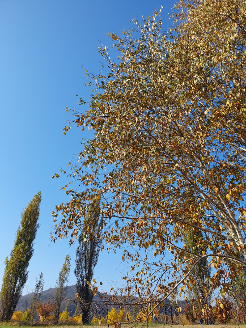 KakaoTalk_20231029_231502300 (1).jpg