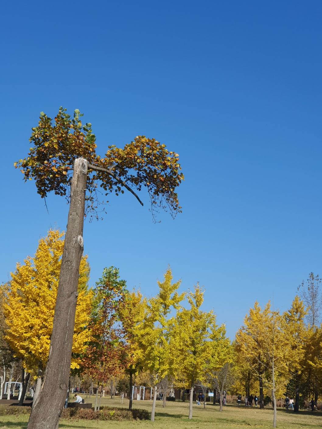 KakaoTalk_20231029_231502300_06 (1) - 복사본.jpg