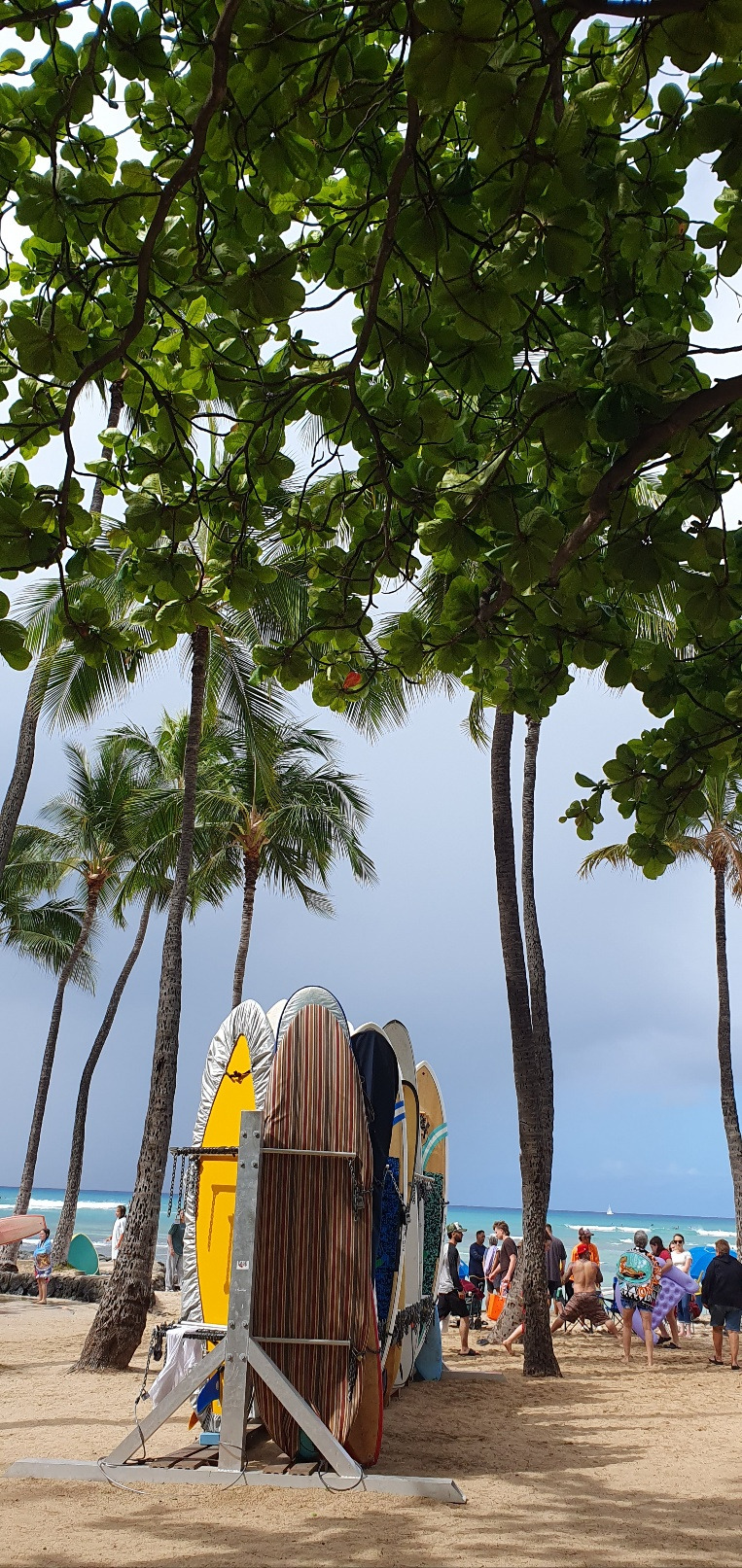 KakaoTalk_20240412_174030038_01 (1).jpg