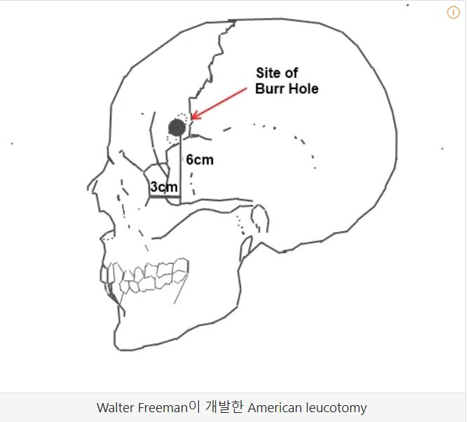 화면 캡처 2024-10-15 135750.jpg