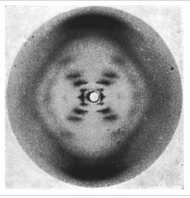 화면 캡처 2025-03-28 100155.jpg