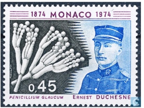 화면 캡처 2025-03-14 163748.jpg