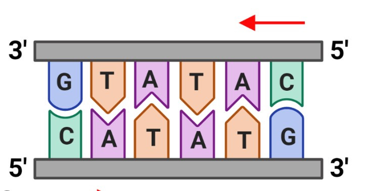 화면 캡처 2025-12-31 113136.jpg