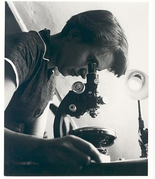 화면 캡처 2025-03-28 105417.jpg