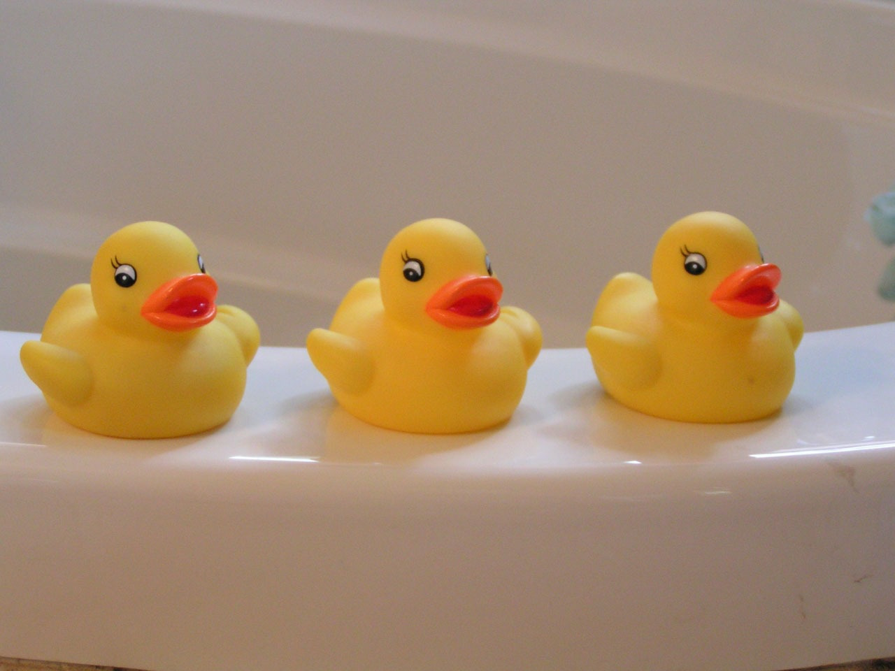 rubber-duckies-14614.jpg