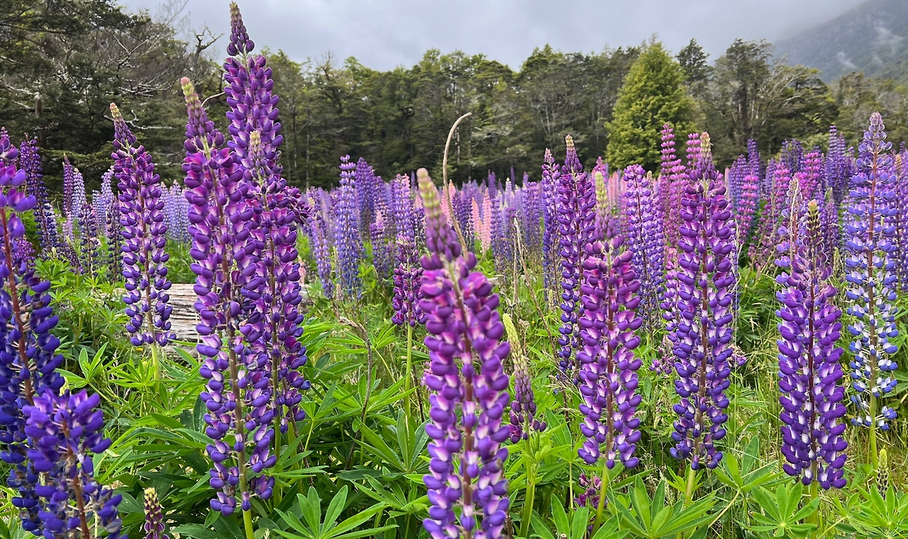 KakaoTalk_20230107_121059311_08 (1).jpg