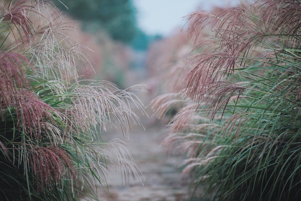 다운로드 (5).jpg