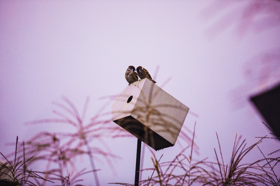 다운로드 (7).jpg