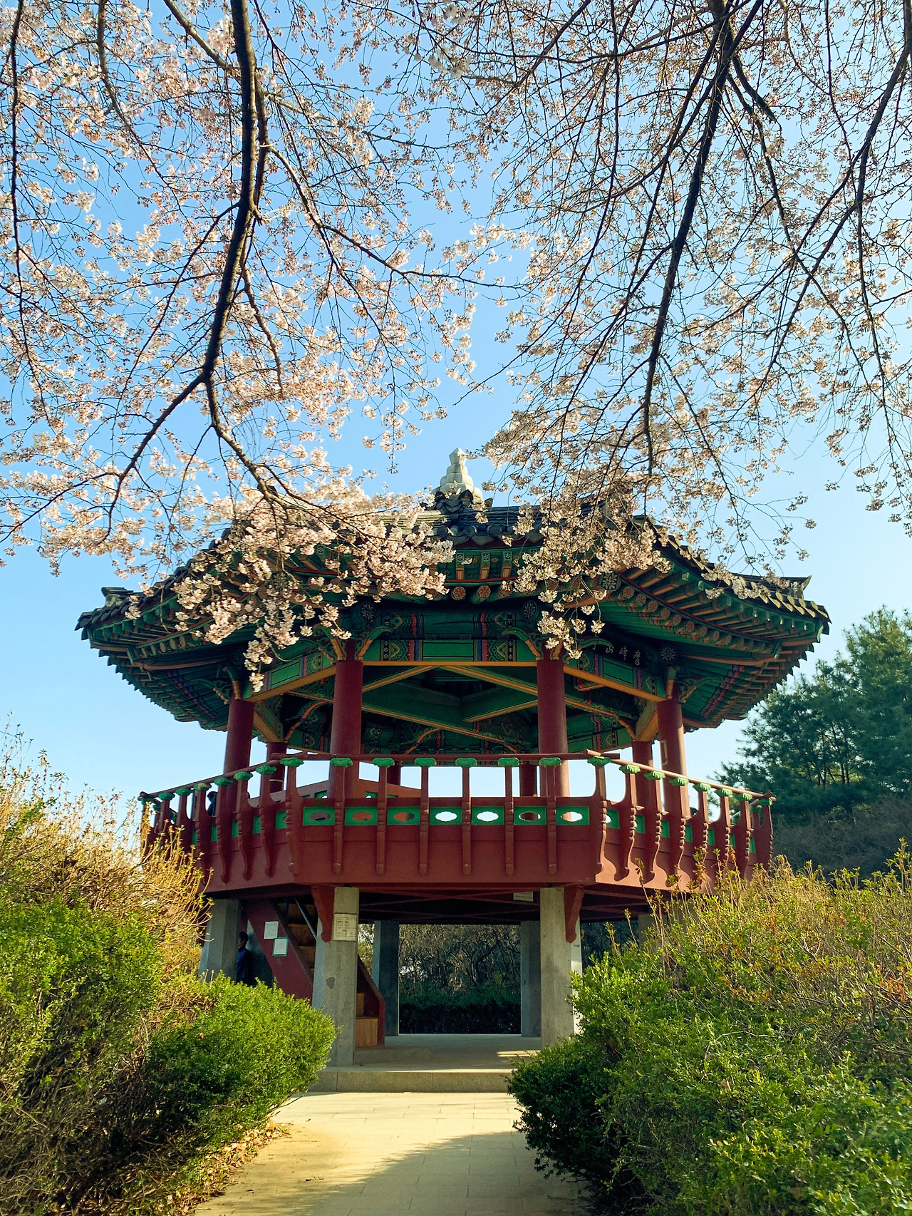 카카오 브런치 글 전직장동료 연락 자니.jpg