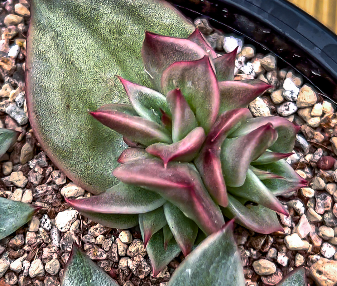 Sequence 01.00_00_18_21.Still003.jpg