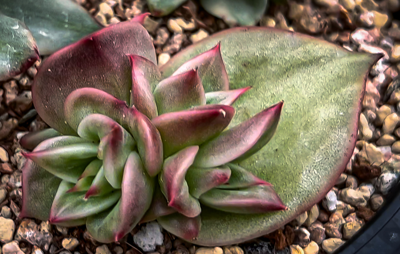 Sequence 01.00_00_01_09.Still001.jpg