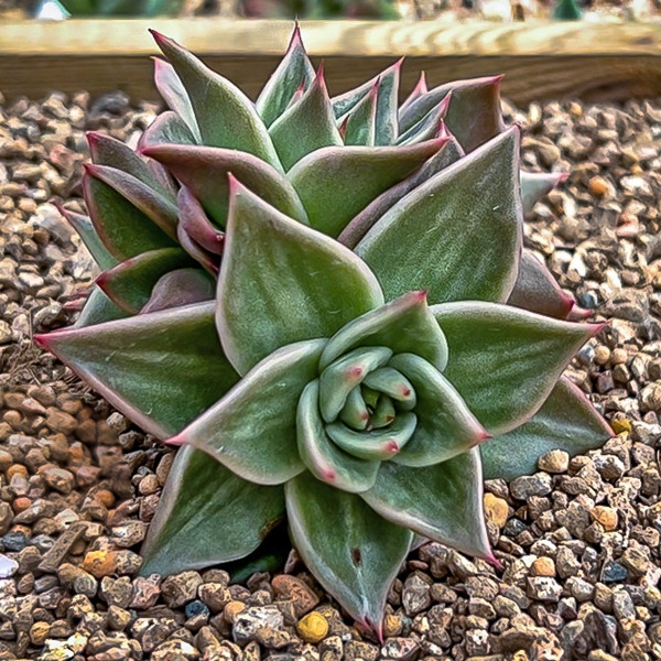 Sequence 01.00_04_10_21.Still027.jpg