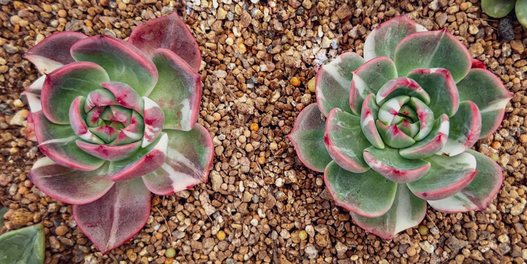 Sequence 01.00_01_47_20.Still005.jpg