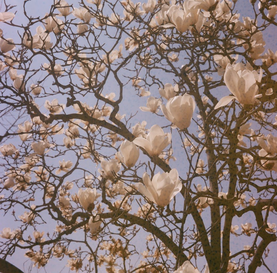 000012450006 (1).jpg