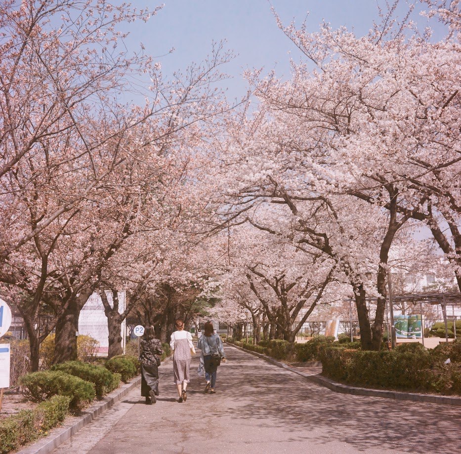 000012450002 (1).jpg