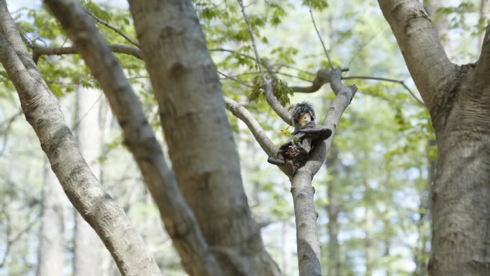 [크기변환]푸쿨라포타스와 숲속의 시간.jpg