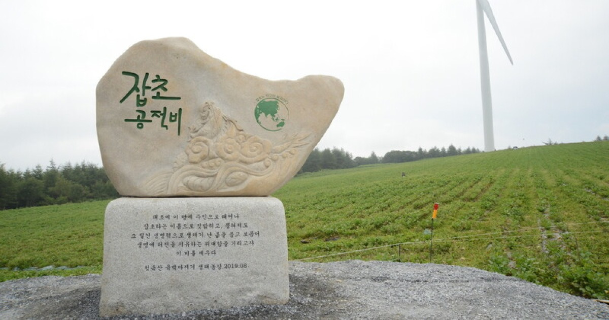 잡초 공덕비.jpg