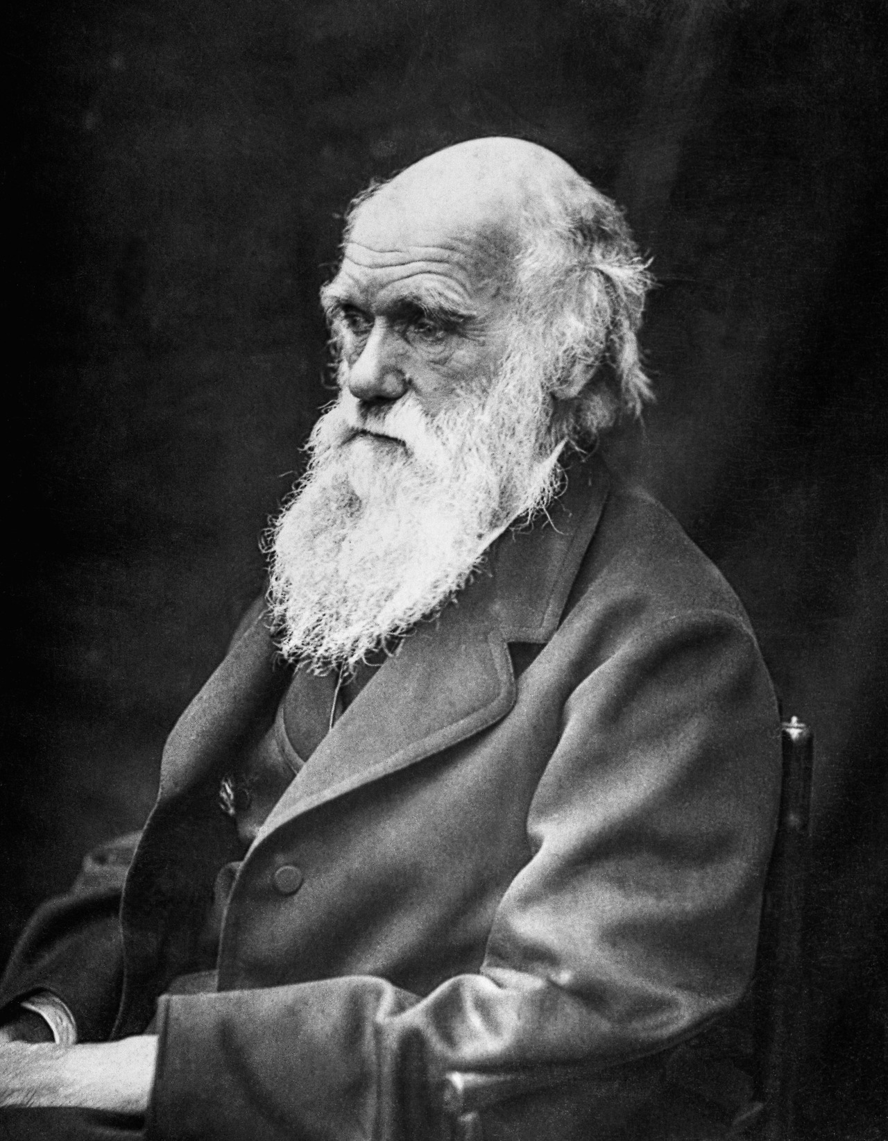 Charles-Darwin-1809–1882-in-his-later-years-1.jpg