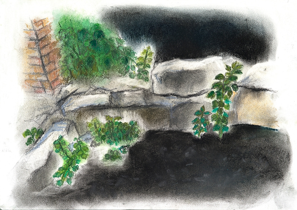 철산동, 여름의 기록 4 푸른 것들.jpg