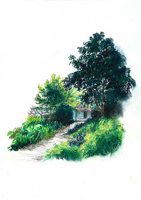 철산동, 여름의 기록 17 숨어있는 집, 넝쿨.jpg