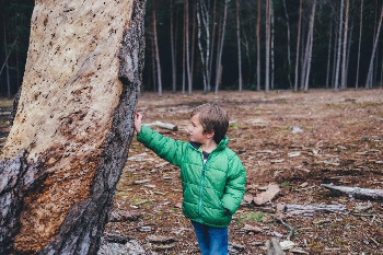 사본 -photo-1457301608316-fc12b0d40dbc.jpg