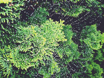 사본 -gf92926817119593aa8c1a7662420687dd962fb1a929ac174d5cc634ecb0302230f099f33726.jpg