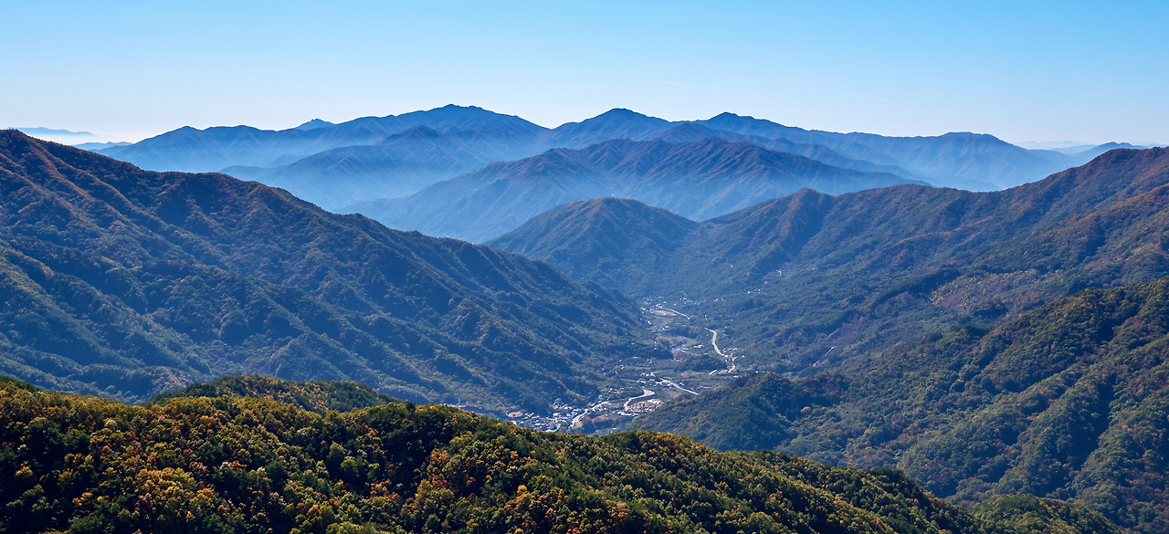 11-2피아골 단풍 (3).jpg