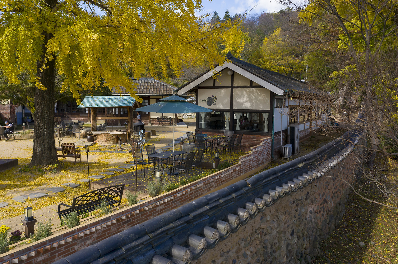 10월부록-마중 은행나무.jpg